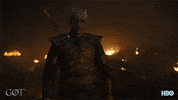 season 8 GIF by Game of Thrones