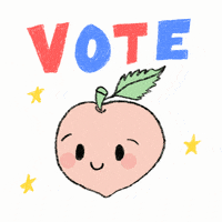 Vote America GIF