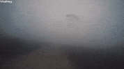 parachute GIF by ViralHog