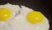 travel channel GIF