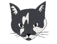 Cat Sticker