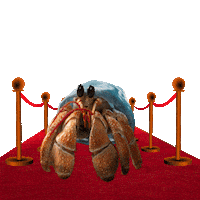 Ocean Life Animation Sticker by JoinZuzu