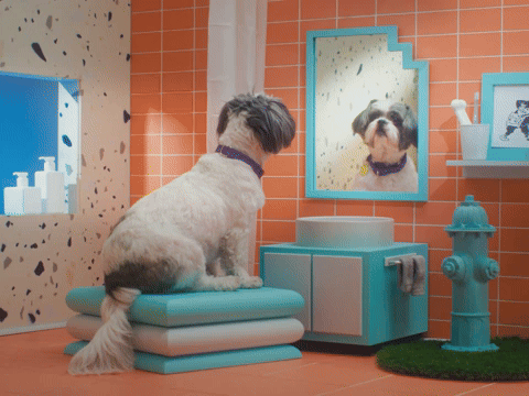 Today's Challenges...