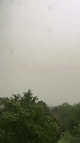 Lightning Forks Over Central Alabama