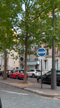 Driving France GIF