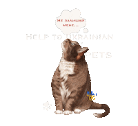 helen_design_gallery helendesigngallery тварини help to ukrainian pets домашні тварини Sticker