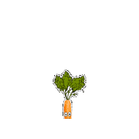 Carrot Vegetable Sticker by PlumFilms