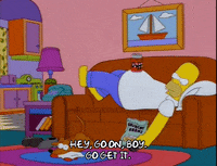 homer simpson episode 25 GIF