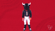 Dance Dancing GIF by Houston Texans