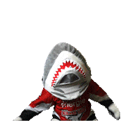 Goal Celebrate Sticker by Koelner Haie