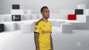 Proud Line Up GIF by Bundesliga
