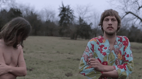 jeff the brotherhood brothers GIF by Infinity Cat Recordings