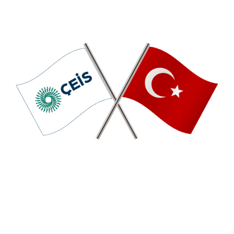 Ceis Sticker by Artı İletişim Yönetimi