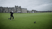 St Andrews Golf GIF by Northwestern Athletics