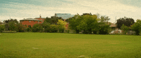 GIF by Hedley