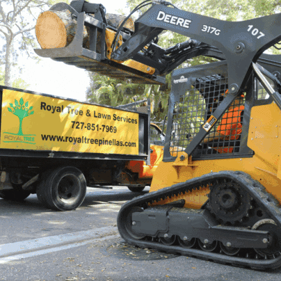 royaltreeservices giphyupload GIF