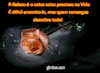 vida GIF