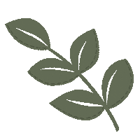 Spring Leaf Sticker
