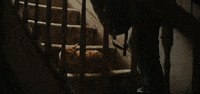 The Royal Hotel Neon Rated GIF by NEON