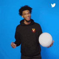 sacramento kings smile GIF by NBA