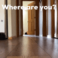 Where Are You Dog GIF