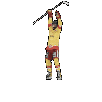 DEGeSports gaming esports jubel eishockey Sticker