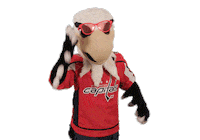 Ice Hockey Sport Sticker by NHL