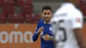 Lets Go GIF by FC Schalke 04