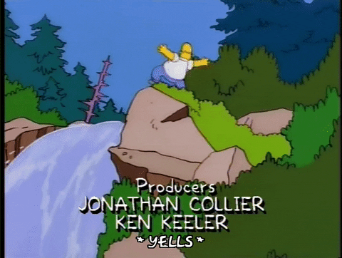 homer simpson GIF