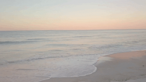 lenoremaria giphyupload summer beauty water GIF