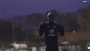 soccer celebration GIF by Equipe de France de Football