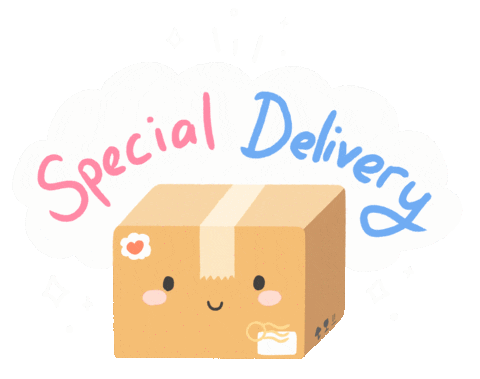 Amazon Delivery Sticker