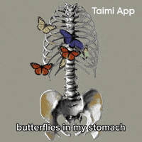 Butterflies In My Stomach GIF by Taimi