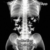 X Ray Butterflies GIF by Taimi