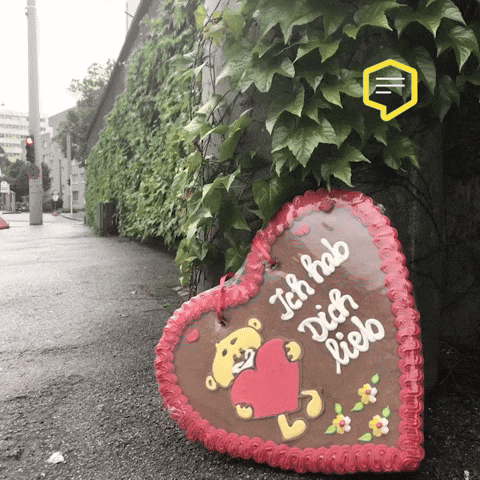 Austria Fest GIF by Linz News