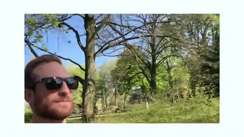 andyfeliciotti giphygifmaker GIF