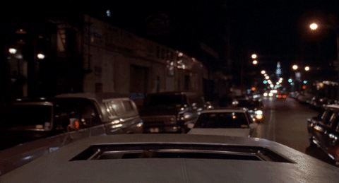 fiesta limo GIF