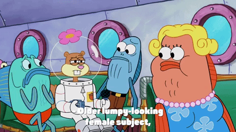 season 9 the fish bowl GIF by SpongeBob SquarePants