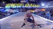 john cena wrestling GIF by WWE