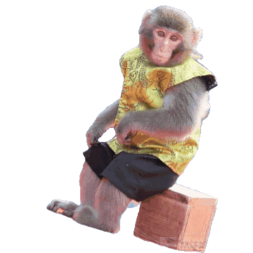 Fun Monkey Sticker