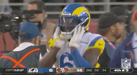 Los Angeles Rams Football GIF by NFL