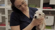 operationkindness  GIF