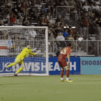 Footballer Goal Keeper GIF by Diaza Football