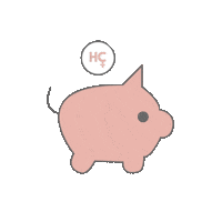 Money Invest Sticker by HerCapital