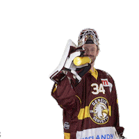 Sport Goal Sticker by Genève-Servette Hockey Club