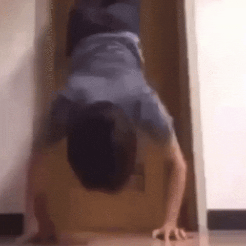 Slokied GIF