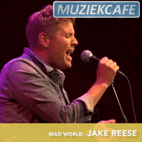 mad world avrotros GIF by NPO Radio 2