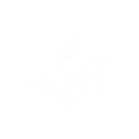 Freeride Sticker by Loose Riders