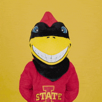 Iowa State No GIF by Iowa State University Foundation