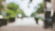 college football GIF by University of Florida